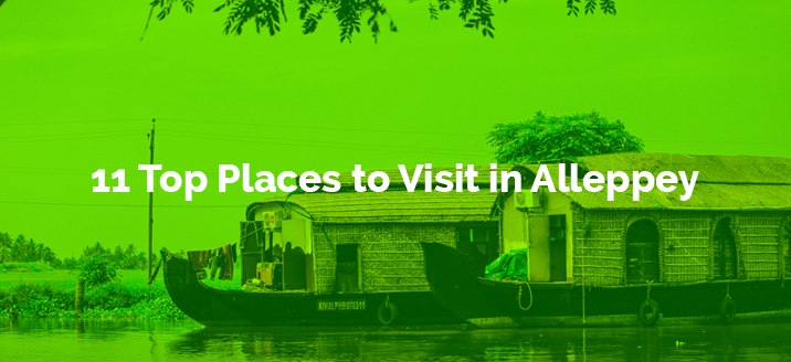 11-Top-Places-to-visit-in-Alleppey