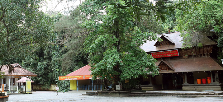 mannarsala