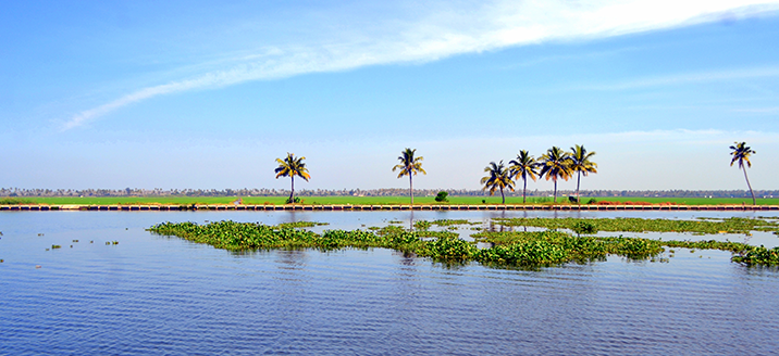 Kuttanad