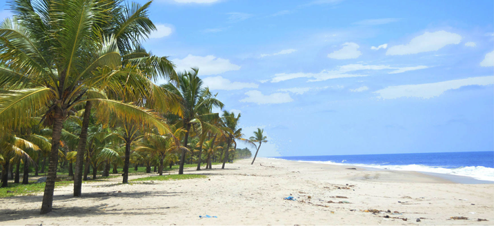 alleppey-beach