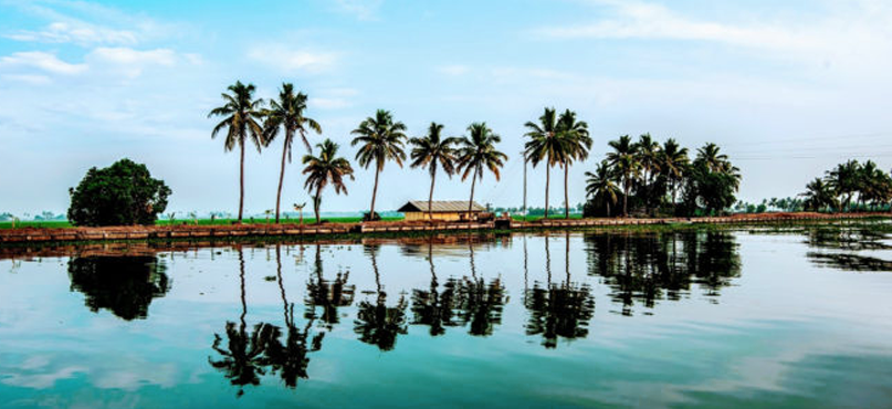 Alappuzha