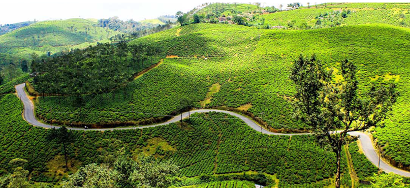 Vagamon