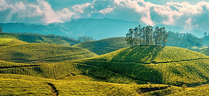 Munnar