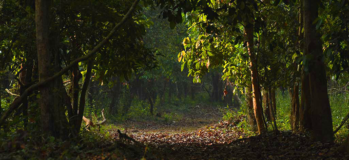 Aralam Wildlife Sanctuary