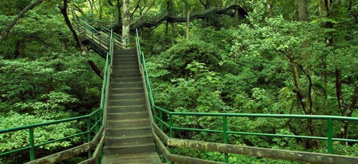 Thenmala