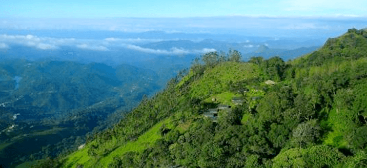 Lockhart Gap ViewPoint