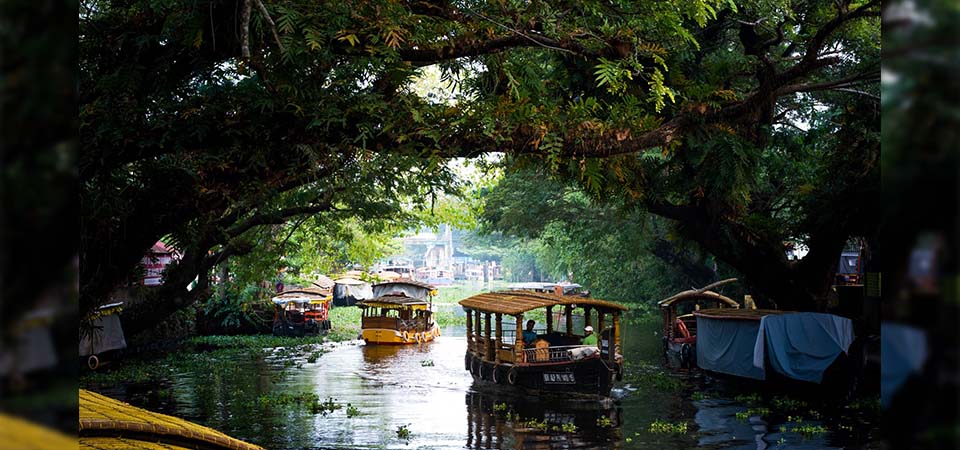 Cultural Experiences to Enjoy on a Houseboat in Alleppey