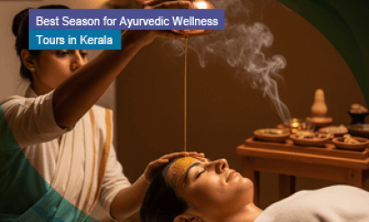 Best Season for Ayurvedic Wellness Tours in Kerala