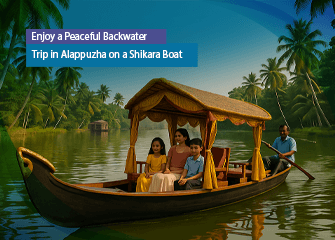 Enjoy a Peaceful Backwater Trip in Alappuzha on a Shikara Boat