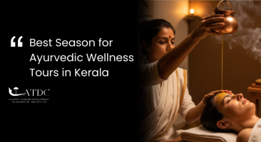 Best Season for Ayurvedic Wellness Tours in Kerala