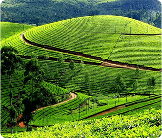 Munnar