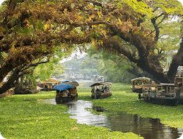 Alleppey Climate