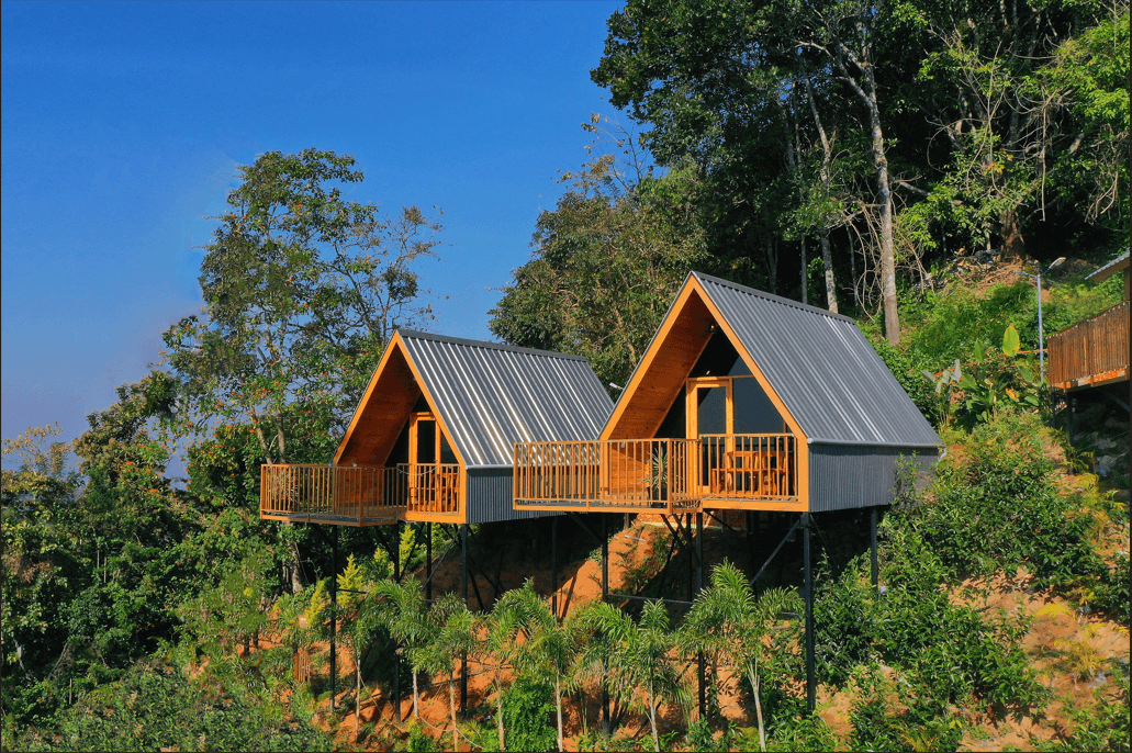 3022Tea Village Munnar