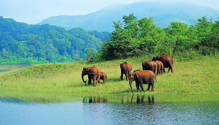 thekkady