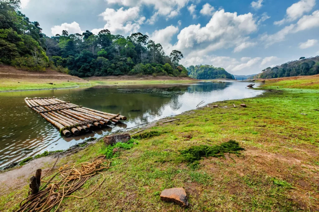A Visit to Thekkady to Find the Beauty of Thekkady.